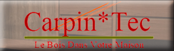 Carpin*Tec