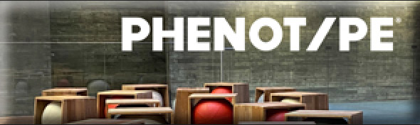 Phenotipe