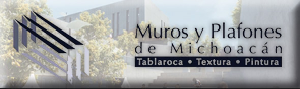Muros y Plafones